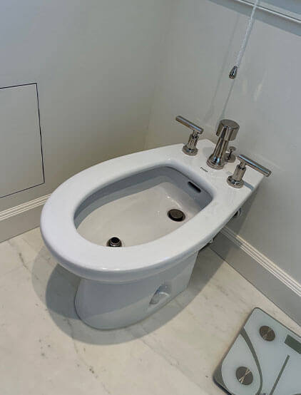 Bidet installation with polished chrome fittings